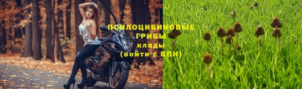 марихуана Ельня